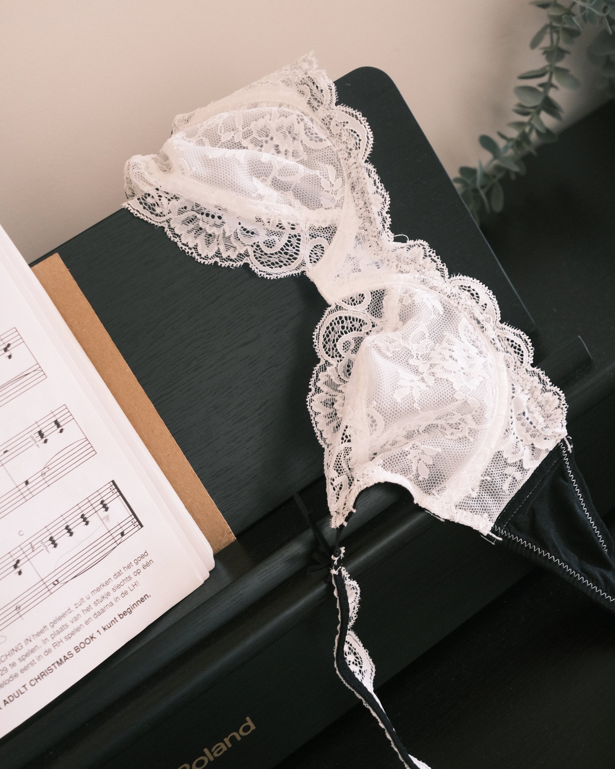 Minette Douce｜Pure White